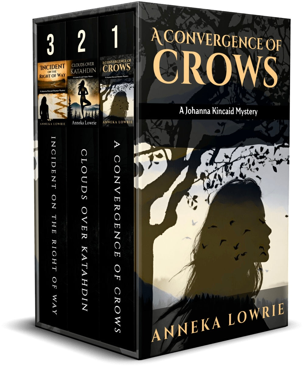 The Johanna Kincaid Mystery Series Box Set: A Psychological Mystery Collection of Hidden Systems, Betrayal, and Buried Secrets (Books 1-3)