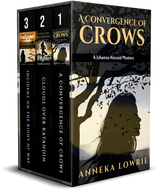 The Johanna Kincaid Mystery Series Box Set: A Psychological Mystery Collection of Hidden Systems, Betrayal, and Buried Secrets (Books 1-3)